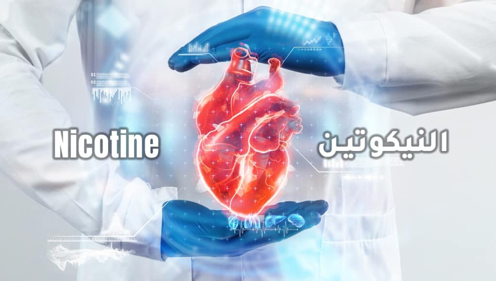 النيكوتين لا يسبب أمراض القلب والأوعية الدموية