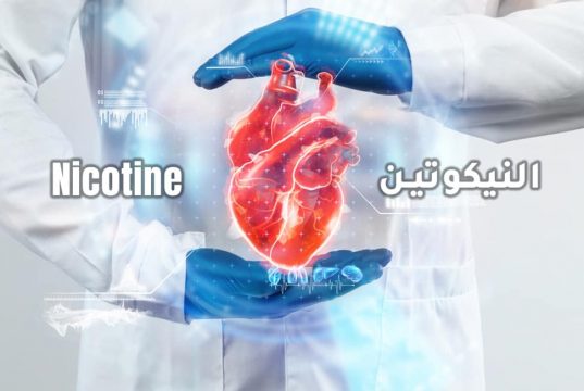 النيكوتين لا يسبب أمراض القلب والأوعية الدموية