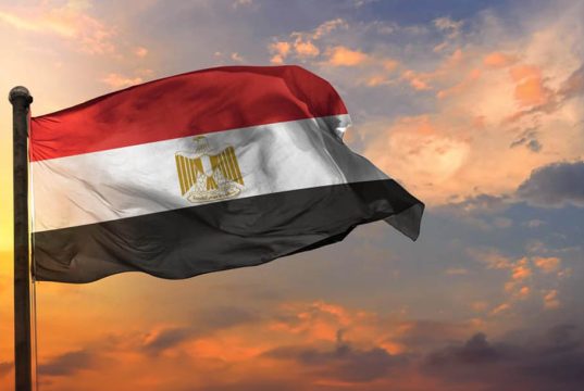 وزارة الصحة المصرية