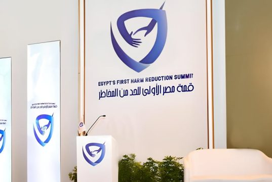 قمة مصر للحد من المخاطر