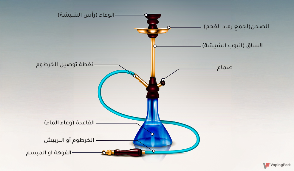 مم تتكون الشيشة او الارجيلة