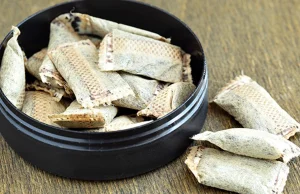 السنوس Snus للإقلاع عن التدخين