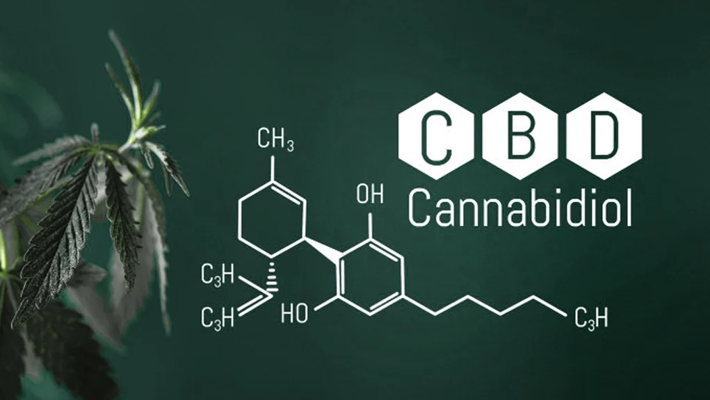 الـ CBD او الكانابيديول