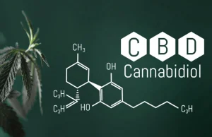 الـ CBD او الكانابيديول