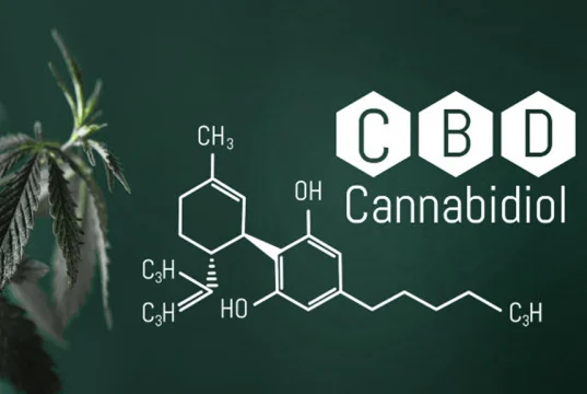 الـ CBD او الكانابيديول