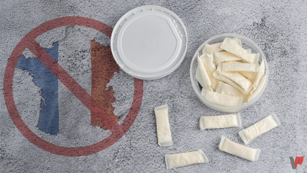 أكياس النيكوتين في فرنسا