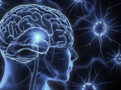 خلايا الإدمان المنسية : كيف يمكن أن تلعب الخلايا النجمية دورًا في إدمان النيكوتين؟ الخلايا النجمية و إدمان النيكوتين