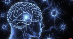 الخلايا النجمية و إدمان النيكوتين