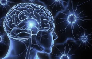 الخلايا النجمية و إدمان النيكوتين