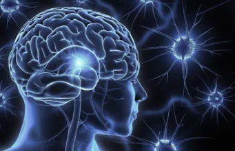 خلايا الإدمان المنسية : كيف يمكن أن تلعب الخلايا النجمية دورًا في إدمان النيكوتين؟ الخلايا النجمية و إدمان النيكوتين