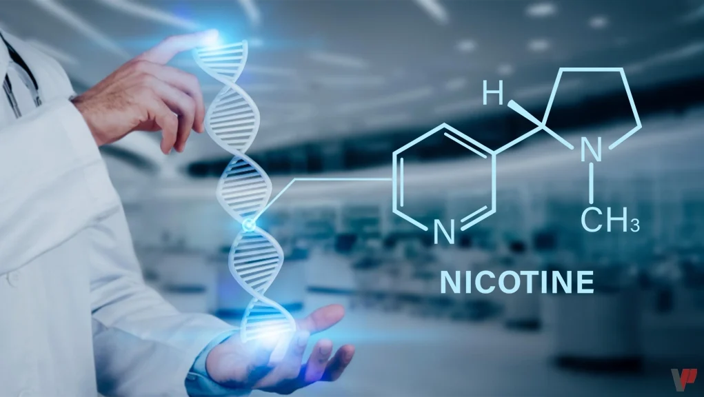 مؤشر استقلاب النيكوتين - الإقلاع عن التدخين
