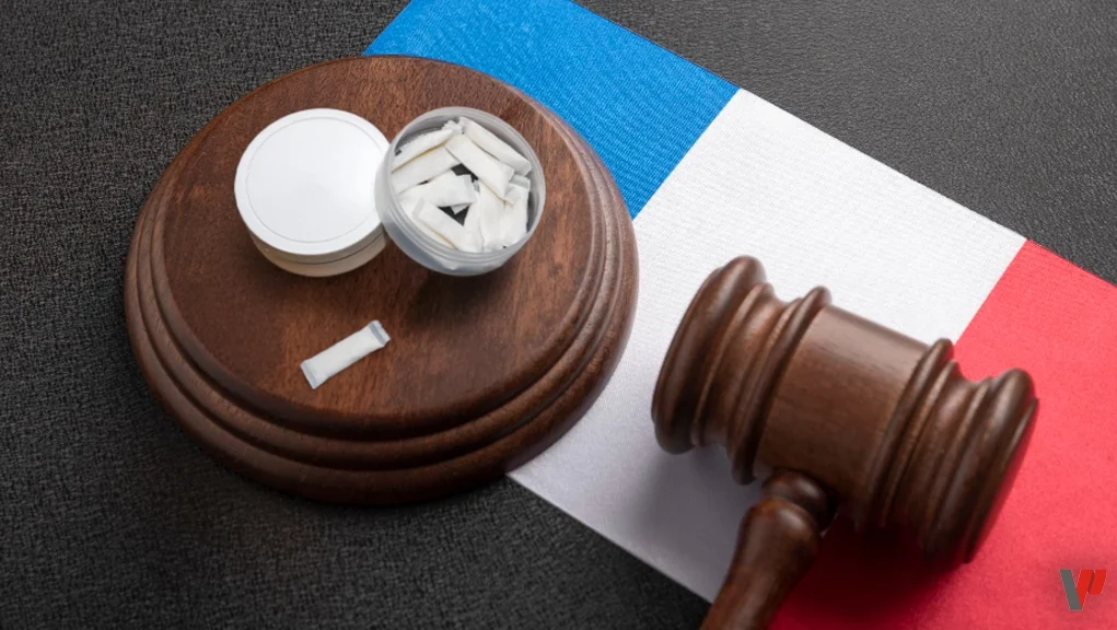 حظر بيع أكياس النيكوتين في فرنسا