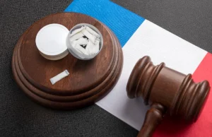 حظر بيع أكياس النيكوتين في فرنسا